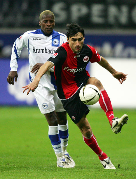 引领雄鹿队 引领雄鹿队